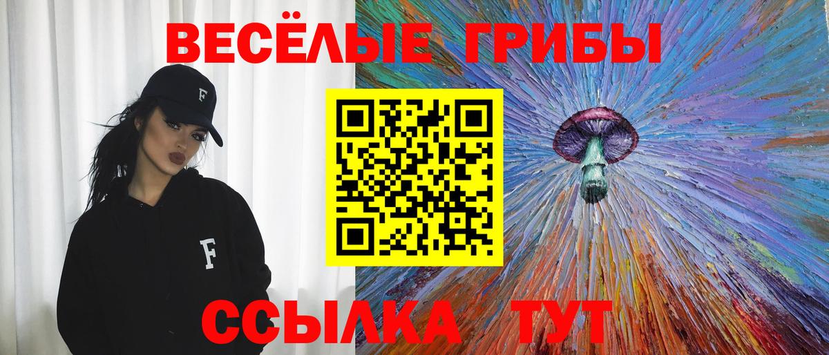 Коломна  Псилоцибиновые грибы Psilocybine cubensis  Вход с VPN 
