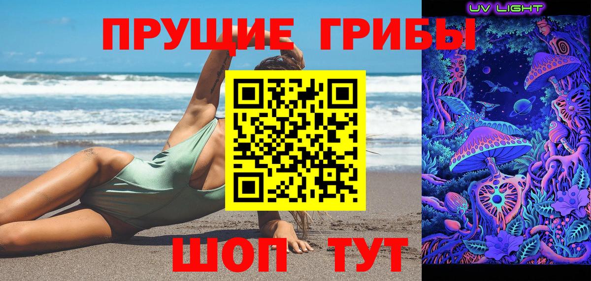 Псилоцибиновые грибы Cubensis Коломна